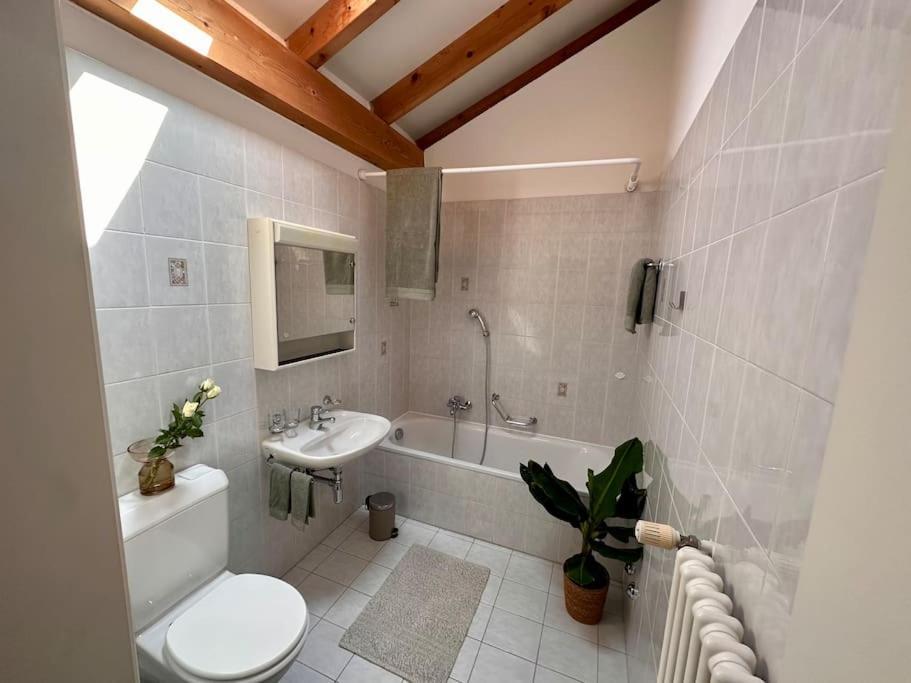 Cozy Ascona: Attico Mansardato *